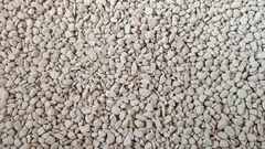 Jag blandade in det i jorden – och växterna slutade ruttna och vissna